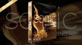 Hybrid Sonic Branding Kit download