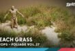 Foliage VOL.27 – Beach Grass (Low Poly) download