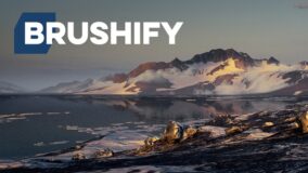 Brushify – Arctic Pack download