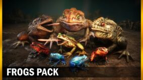 Frogs pack download