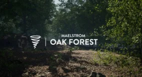 MAE Oak Forest download