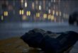 Anamorphic Depth of Field for Cinematics download