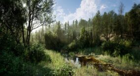 PCG Biome: Forest Poplar download