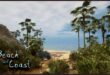 Beach and Coast Environment download