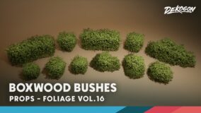 Foliage VOL.16 – Boxwood Bushes (Nanite & Low Poly) download
