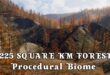 225 Square Km Procedural Forest download