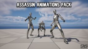 Assassin Animations Pack download