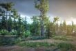 Nature Package download