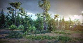 Nature Package download