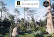 Depression Marsh Habitat Brush download