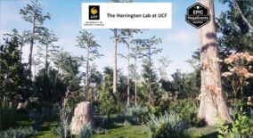 Depression Marsh Habitat Brush download
