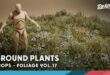 Foliage VOL.17 – Ground Plants (Low Poly) download