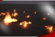 Fire FX VDB download