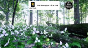 35 AR VR Northeastern US Plants and Ecosystems download