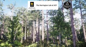 Dome Swamp Habitat Brush download