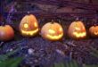 Halloween Pumpkins / 10+ Variations & Vegetation download