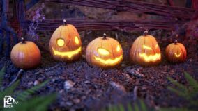 Halloween Pumpkins / 10+ Variations & Vegetation download