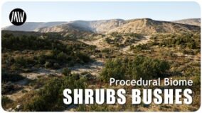 MW Shrubs & Bushes Biome download