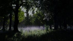 Shady Forest download