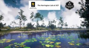 35 AR VR Southeastern US Plants and Ecosystems download