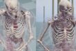 Sniper Shoot – Realistic Bone Shattering, Chaos Physics & Cinematic Camera download