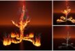 Smoke and Fire Spline – Niagara Fluids download