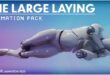 The Large Laying Animation Pack download