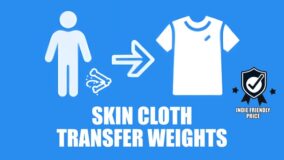 Skin Cloth Transfer Weights download