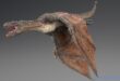 Wyvern Rex Lite Version download