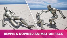 Revive & Downed Animation Pack download