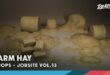 Jobsite VOL.13 – Farm Hay (Nanite & Low Poly) download