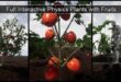 Full Interactive Physic Plants download