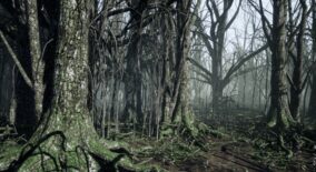 Dark Forest download