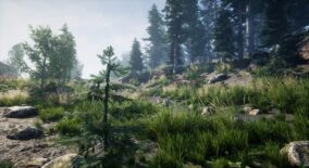 Environment Set download