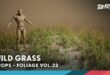 Foliage VOL.22 – Wild Grass (Low Poly) download