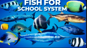 Fish for Fish School System download