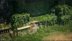 Realistic IVY Plants download