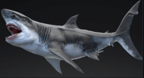 MEGALODON – Sea Monster Series 5 download