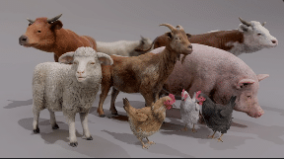 FARM ANIMALS PACK download