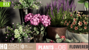 HQ Plants Vol. 6 ( Flowered Plants ) download