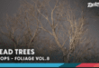 Foliage VOL.8 – Dead Trees (Nanite and Low Poly) download