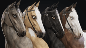 Horse Herd download