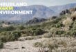 Shrubland Landscape Environment download