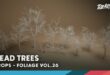 Foliage VOL.26 – Dead Birch Trees download