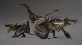 MONSTER: FEROPTERE download