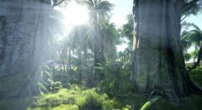 Photorealistic jungle biom 4×4 download