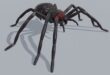 Darkness Spider download