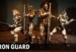 Iron guard download