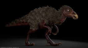 Fantasy Beast 13 download