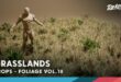 Foliage VOL.18 – Grasslands (Low Poly) download